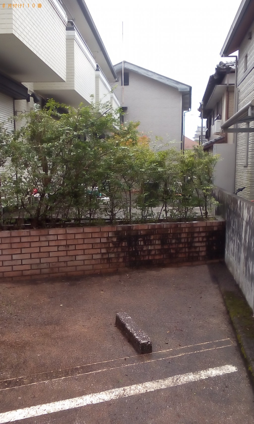 木の剪定作業ご依頼　お客様の声