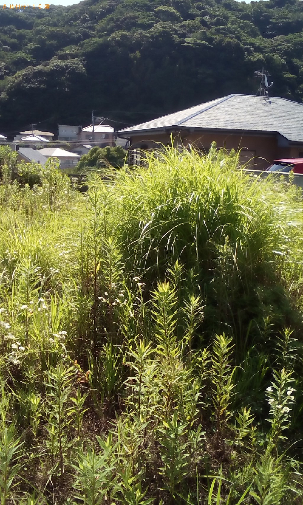 草刈り作業ご依頼　お客様の声