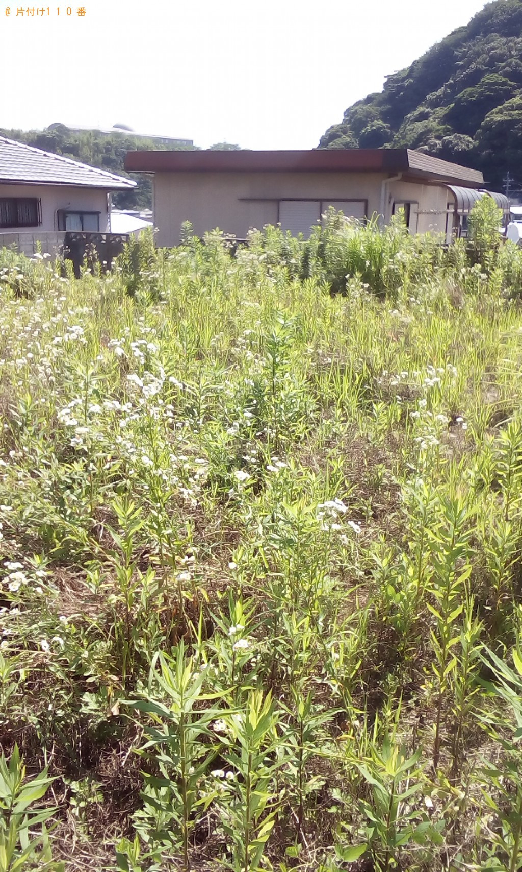 草刈り作業ご依頼　お客様の声